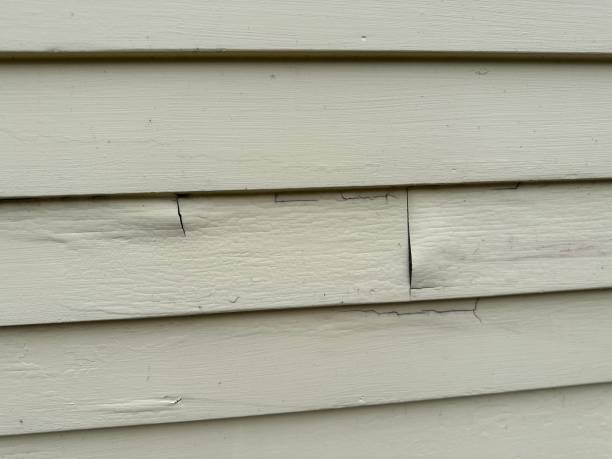 Best Siding Painting and Refinishing  in Frostproof, FL